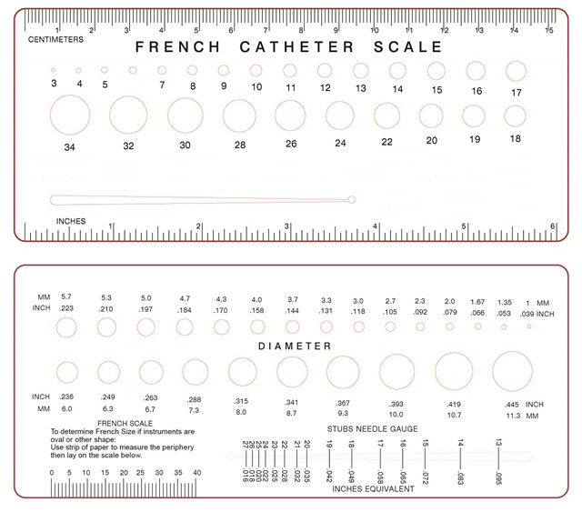 French Catheter Scale
